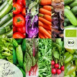 Bio Gemüsesamen Set -Garten Flaire Verkaufsgeschäft loveplants bio gemuesesamen set 1546973 de