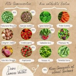 Bio Hochbeet & Balkon Gemüse Samen Set