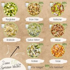 Bio Keimsprossen Samen Set -Garten Flaire Verkaufsgeschäft loveplants bio keimsprossen samen set 1546789 de
