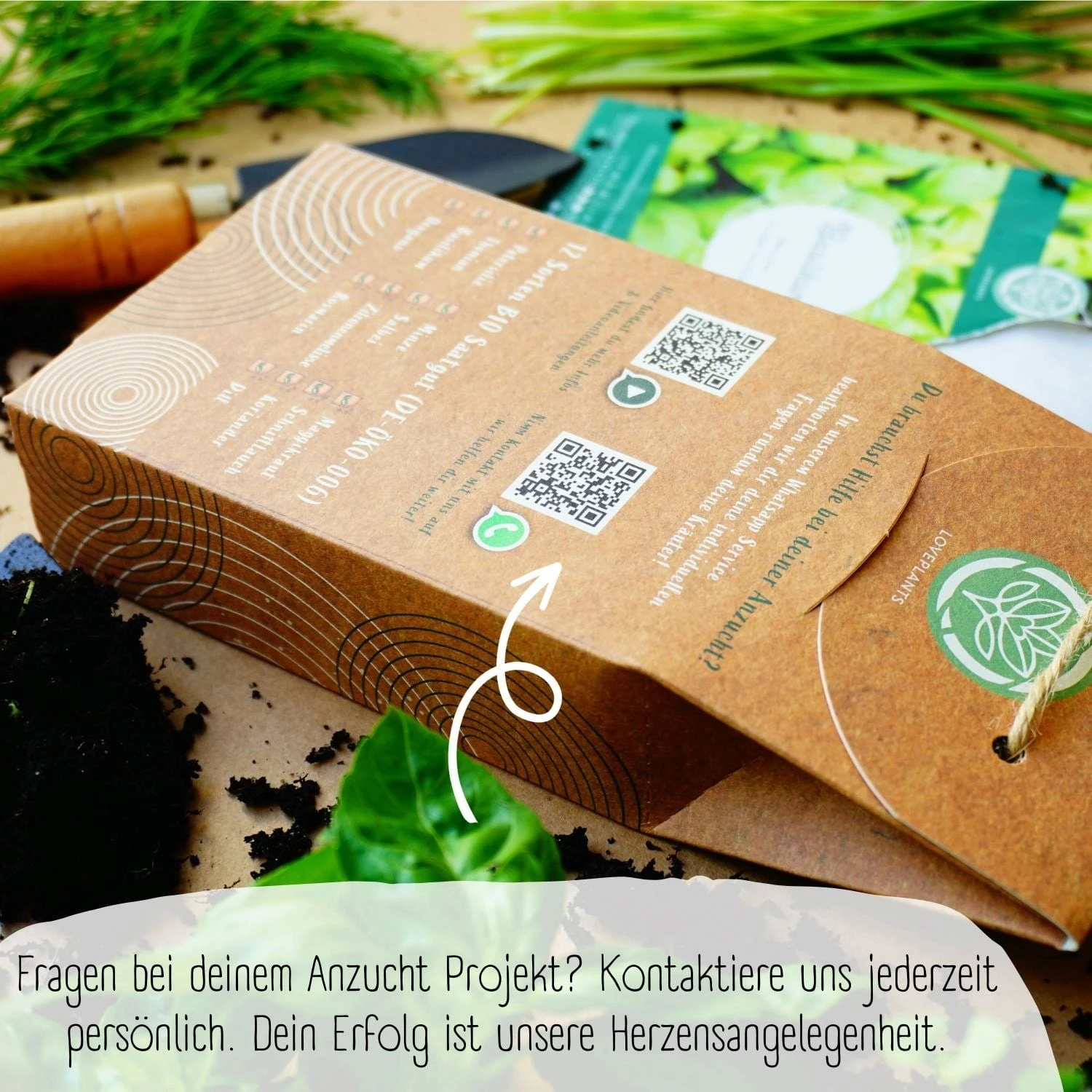 Bio Kräutersamen Set 6 Bio Kräutersamen Set - Image 4