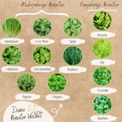Bio Kräutersamen Set 8 Bio Kräutersamen Set -Garten Flaire Verkaufsgeschäft loveplants bio kraeutersamen set 1546989 de