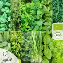 Bio Kräutersamen Set 11 Bio Kräutersamen Set -Garten Flaire Verkaufsgeschäft loveplants bio kraeutersamen set 1546993 de