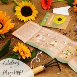 Bio Sonnenblumen Samen Set -Garten Flaire Verkaufsgeschäft loveplants bio sonnenblumen samen set 1682931 de