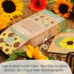 Bio Sonnenblumen Samen Set -Garten Flaire Verkaufsgeschäft loveplants bio sonnenblumen samen set 1682932 de