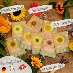 Bio Sonnenblumen Samen Set -Garten Flaire Verkaufsgeschäft loveplants bio sonnenblumen samen set 1682933 de