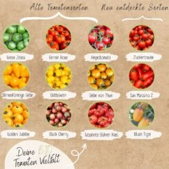 Bio Tomatensamen Set 9 Bio Tomatensamen Set -Garten Flaire Verkaufsgeschäft loveplants bio tomatensamen set 1546919 de