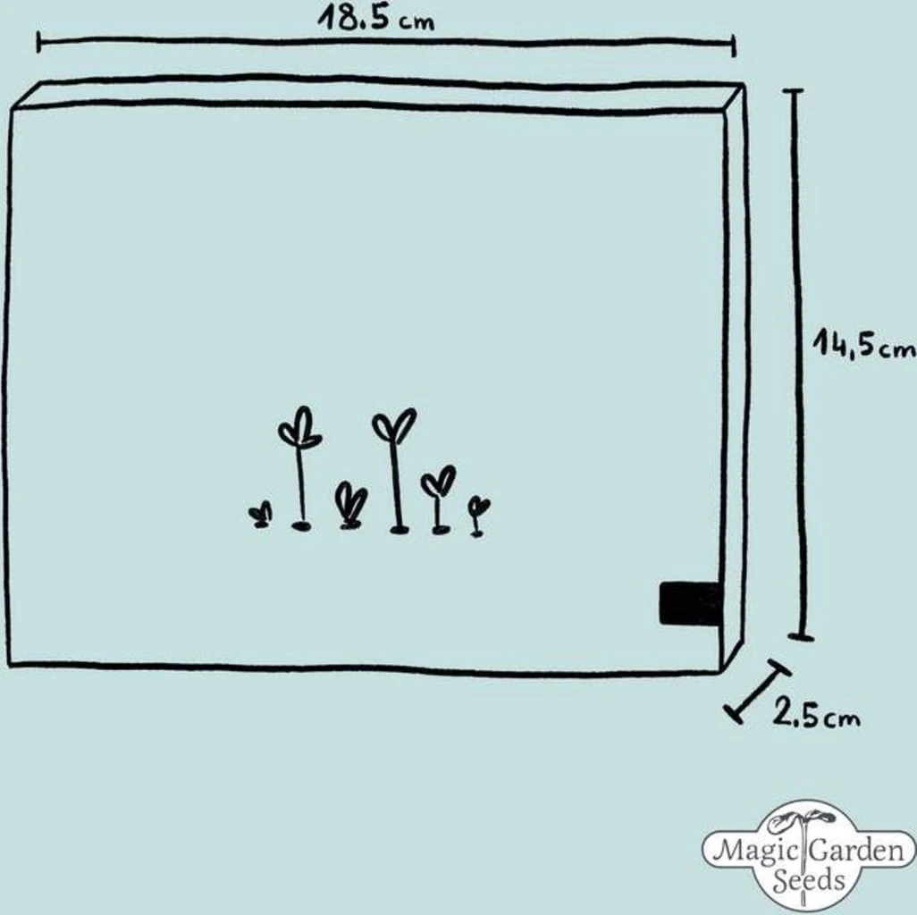 Anti-Aging Pflanzen - Samenset 5 Anti-Aging Pflanzen - Samenset - Image 3