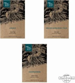 Ayurvedische Heilkräuter - Samenset -Garten Flaire Verkaufsgeschäft magic garden seeds ayurvedische heilkraeuter samenset 1 set 1303359 de