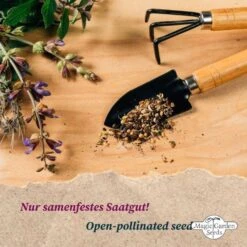 Bio Alte Historische Gemüsesorten - Samenset, Samenset -Garten Flaire Verkaufsgeschäft magic garden seeds bio alte historische gemuesesorten samenset set semen 1678078 de