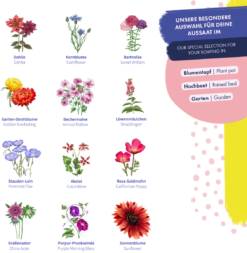 Blumensamen - Wild & Farbenfroh -Garten Flaire Verkaufsgeschäft magic garden seeds blumensamen wild farbenfroh 1494769 de