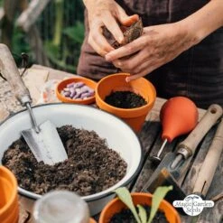 Bunte Alte Tomatensorten - Samenset -Garten Flaire Verkaufsgeschäft magic garden seeds bunte alte tomatensorten samenset 1 set 1217646 de