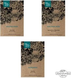 Duftende Wildrosen - Samenset -Garten Flaire Verkaufsgeschäft magic garden seeds duftende wildrosen samenset 1680115 de