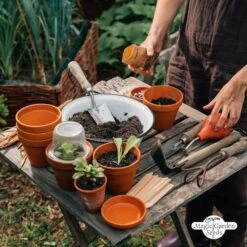 Hildegard Von Bingen: Klostergarten - Samenset -Garten Flaire Verkaufsgeschäft magic garden seeds hildegard von bingen klostergarten samenset 1 set 1217200 de