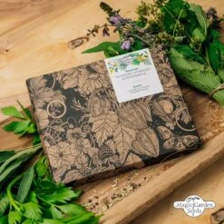 Hildegard Von Bingen: Klostergarten - Samenset -Garten Flaire Verkaufsgeschäft magic garden seeds hildegard von bingen klostergarten samenset 1 set 1303073 de