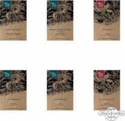 Hildegard Von Bingen: Klostergarten - Samenset -Garten Flaire Verkaufsgeschäft magic garden seeds hildegard von bingen klostergarten samenset 1 set 1303087 de