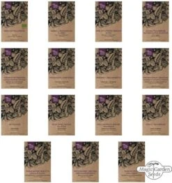 Italienische Gemüse-Raritäten , Samenset -Garten Flaire Verkaufsgeschäft magic garden seeds italienische gemuese raritaeten froekit 1678080 de