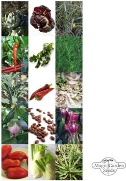 Italienische Gemüse-Raritäten , Samenset -Garten Flaire Verkaufsgeschäft magic garden seeds italienische gemuese raritaeten froekit 1678081 de