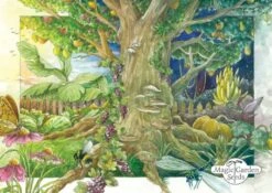 Italienische Gemüse-Raritäten , Samenset -Garten Flaire Verkaufsgeschäft magic garden seeds italienische gemuese raritaeten froekit 1678082 de