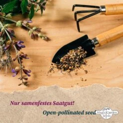 Mehrjährige Kletterpflanzen - Samenset, Samenset -Garten Flaire Verkaufsgeschäft magic garden seeds mehrjaehrige kletterpflanzen samenset 1 set 1305713 de