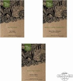 Tabak Vielfalt - Samenset 11 Tabak Vielfalt - Samenset -Garten Flaire Verkaufsgeschäft magic garden seeds tabak vielfalt samenset 1436639 de