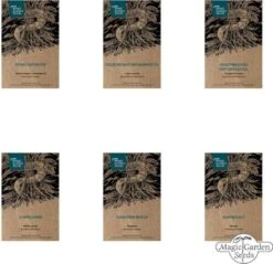 Wichtige Heilpflanzen Der Frauenheilkunde - Samenset -Garten Flaire Verkaufsgeschäft magic garden seeds wichtige heilpflanzen der frauenheilkunde samenset 1663522 de