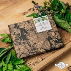 Wichtige Heilpflanzen Der Frauenheilkunde - Samenset -Garten Flaire Verkaufsgeschäft magic garden seeds wichtige heilpflanzen der frauenheilkunde samenset 1680207 de