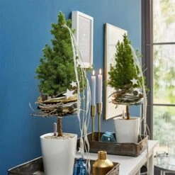 LECHUZA Tischgefäß MINI DELTINI, Weiß 14 LECHUZA Tischgefäß MINI DELTINI, Weiß -Garten Flaire Verkaufsgeschäft mini deltini tischgefaess 673180 de