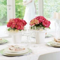 LECHUZA Tischgefäß MINI DELTINI, Weiß 19 LECHUZA Tischgefäß MINI DELTINI, Weiß -Garten Flaire Verkaufsgeschäft mini deltini tischgefaess 673220 de