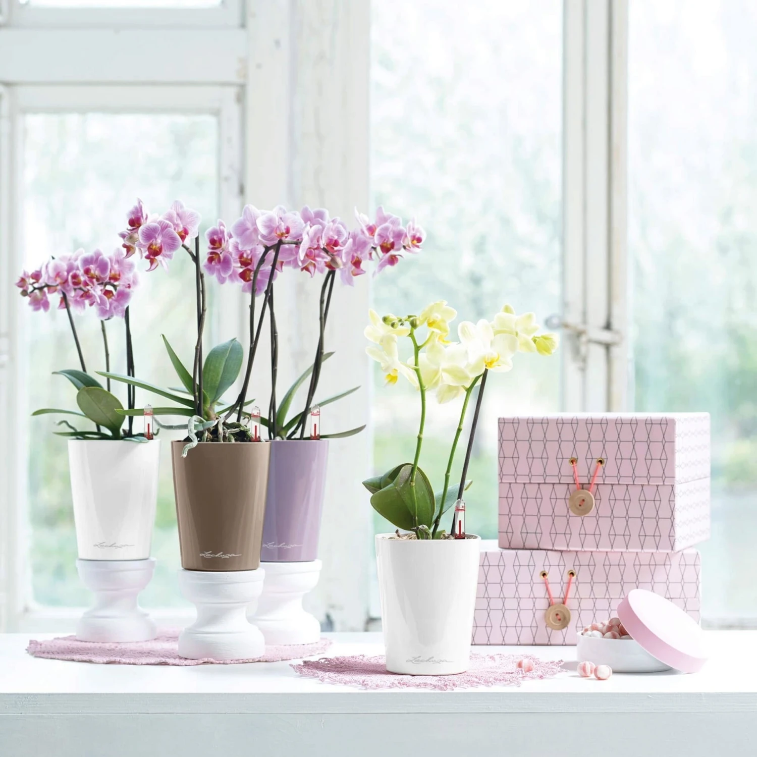 LECHUZA Tischgefäß MINI DELTINI, Weiß 8 LECHUZA Tischgefäß MINI DELTINI, Weiß – Bild 6