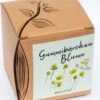 Anzuchtset "Gummibärchenblume" -Garten Flaire Verkaufsgeschäft naturkraftwerk anzuchtset gummibaerchenblume 1 st 1667806 de