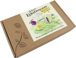 Heilkräuter-Samen-Set "Duftende Kräuterwiese" -Garten Flaire Verkaufsgeschäft naturkraftwerk heilkraeuter samen set duftende kraeuterwiese 1 set 1040773 de