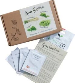 Samen-Set "Asia-Garten" 5 Samen-Set "Asia-Garten" -Garten Flaire Verkaufsgeschäft naturkraftwerk samen set asia garten 1 set 1670452 de