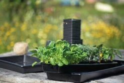 Anzuchtschale Solid 14 X 68 Cm 13 Anzuchtschale Solid 14 X 68 Cm -Garten Flaire Verkaufsgeschäft nelson garden anzuchtschale solid 14 x 68 cm 1460255 de