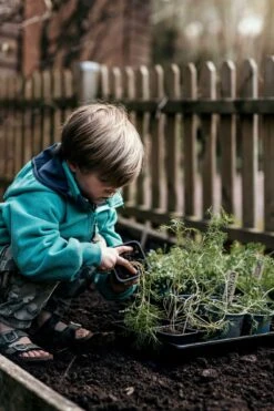 Anzuchtschale Solid 24 X 38 Cm -Garten Flaire Verkaufsgeschäft nelson garden anzuchtschale solid 24 x 38 cm 1460357 de