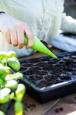 Anzuchtschale Solid 24 X 38 Cm -Garten Flaire Verkaufsgeschäft nelson garden anzuchtschale solid 24 x 38 cm 1460364 de