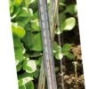 Bodenthermometer 1 Bodenthermometer -Garten Flaire Verkaufsgeschäft nelson garden bodenthermometer 1 st 1660533 de