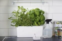 LED-Pflanzen-Wachstums-Leiste, 39 Cm 6 LED-Pflanzen-Wachstums-Leiste, 39 Cm -Garten Flaire Verkaufsgeschäft nelson garden led pflanzen wachstums leiste small 1 stk 1172121 de