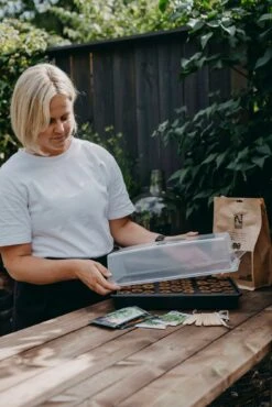 Mini-Gewächshaus "Air" 10 Mini-Gewächshaus "Air" -Garten Flaire Verkaufsgeschäft nelson garden mini gewaechshaus air 1463712 de