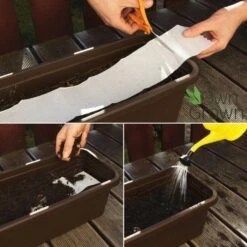 Balkonblumen Hängend - Saatgut-Teppiche -Garten Flaire Verkaufsgeschäft own grown balkonblumen haengend saatgut teppiche 1 paket 1684307 de