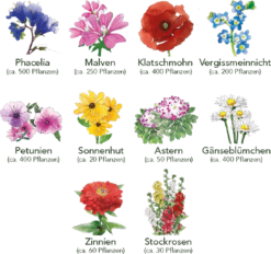 Blumen Beet 10er Set 14 Blumen Beet 10er Set -Garten Flaire Verkaufsgeschäft own grown blumen beet 10er set 1679532 de