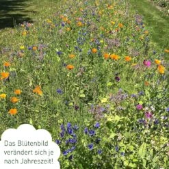 Blumenmischung "Bienenwiese" -Garten Flaire Verkaufsgeschäft own grown blumenmischung bienenwiese 1527681 de