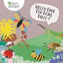 Blumenmischung "Insekteninsel" 12 Blumenmischung "Insekteninsel" -Garten Flaire Verkaufsgeschäft own grown blumenmischung insekteninsel 1527537 de