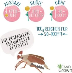 Blumenmischung "Insekteninsel" 14 Blumenmischung "Insekteninsel" -Garten Flaire Verkaufsgeschäft own grown blumenmischung insekteninsel 1527545 de