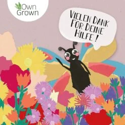 Blumenmischung "Schmetterlingstreff" -Garten Flaire Verkaufsgeschäft own grown blumenmischung schmetterlingstreff 1527601 de