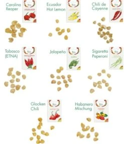 Chili-Samen 8er Saatgut-Set -Garten Flaire Verkaufsgeschäft own grown chili samen 8er saatgut set 1 set 1679243 de