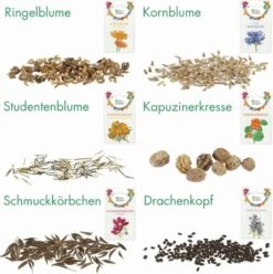 Delikatess-Blüten 6er Saatgut-Set 14 Delikatess-Blüten 6er Saatgut-Set -Garten Flaire Verkaufsgeschäft own grown delikatess blueten 6er saatgut set 1 set 1679255 de