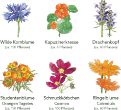 Garten Flaire Verkaufsgeschäft 29 Delikatess-Blüten 6er Saatgut-Set