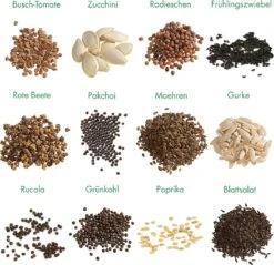 Garten-Gemüse 12er Saatgut-Set
