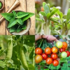 Garten-Helden 10er Set 14 Garten-Helden 10er Set -Garten Flaire Verkaufsgeschäft own grown garten helden 10er set 1679579 de