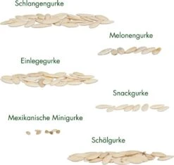 Gurken-Samen 6er Set 14 Gurken-Samen 6er Set -Garten Flaire Verkaufsgeschäft own grown gurken samen 6er set 1679569 de